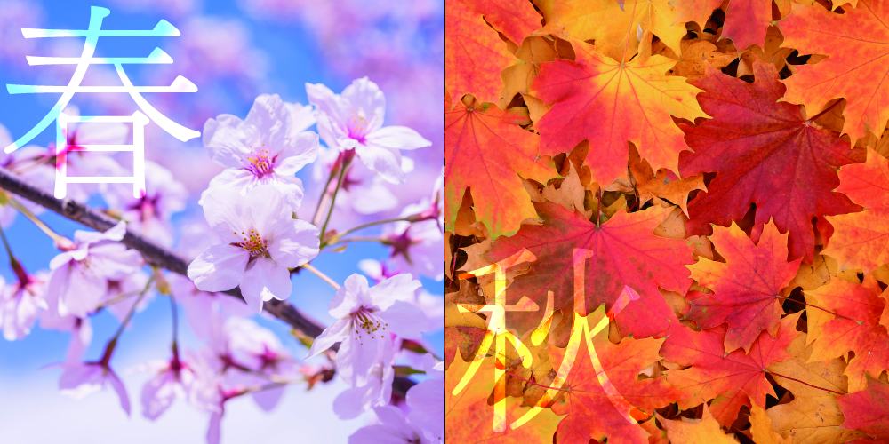 春と秋